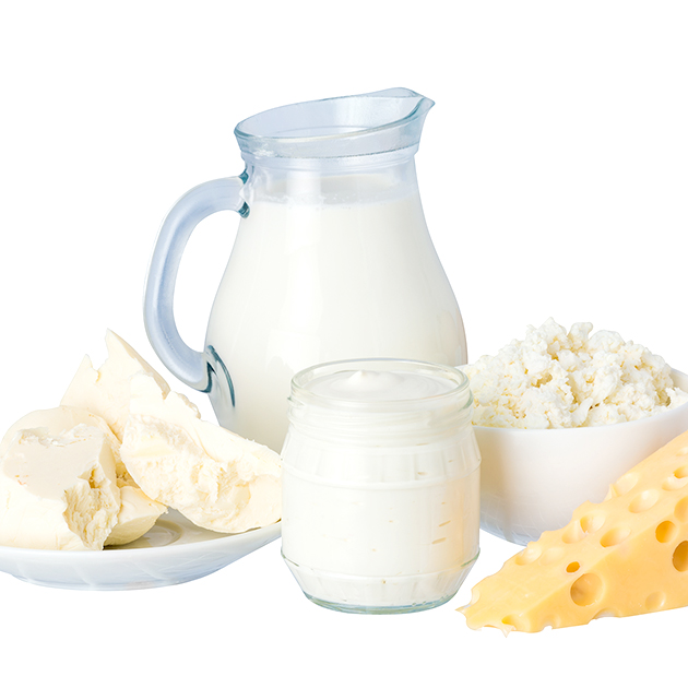 dairy products