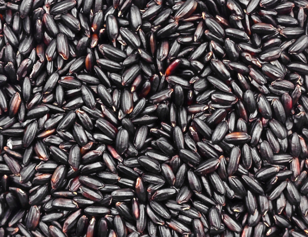 Black Rice