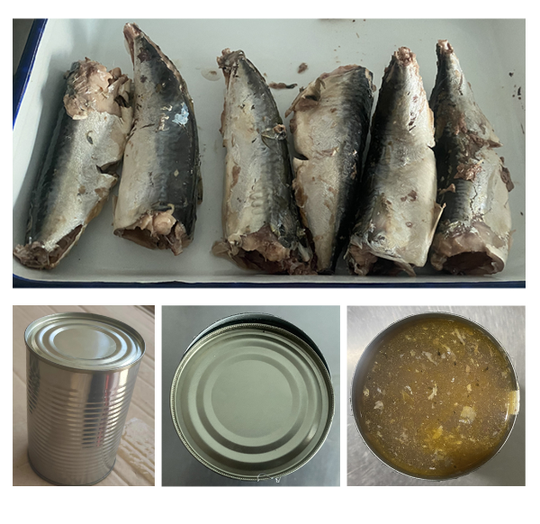 Canned Mackerel in Brine