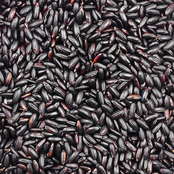 Black Rice